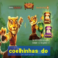 coelhinhas do brasil jp